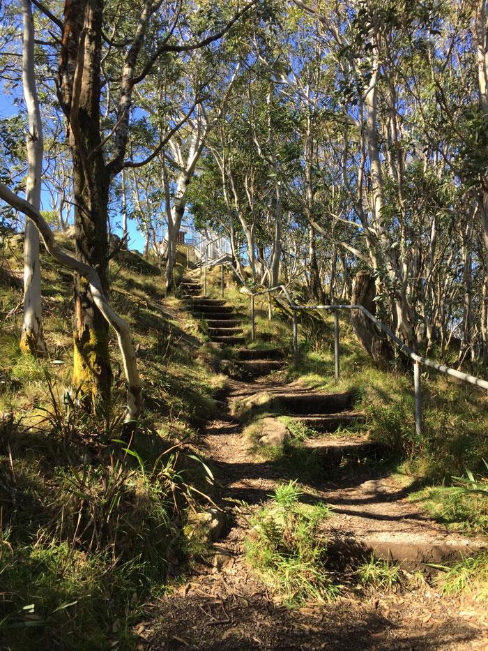 Staircase to the camels hump viewing platform