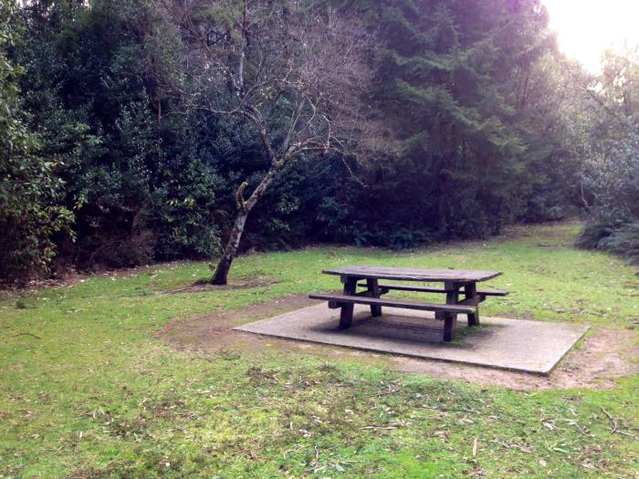 Have a picnic among the tall trees near Sanitorium Lake