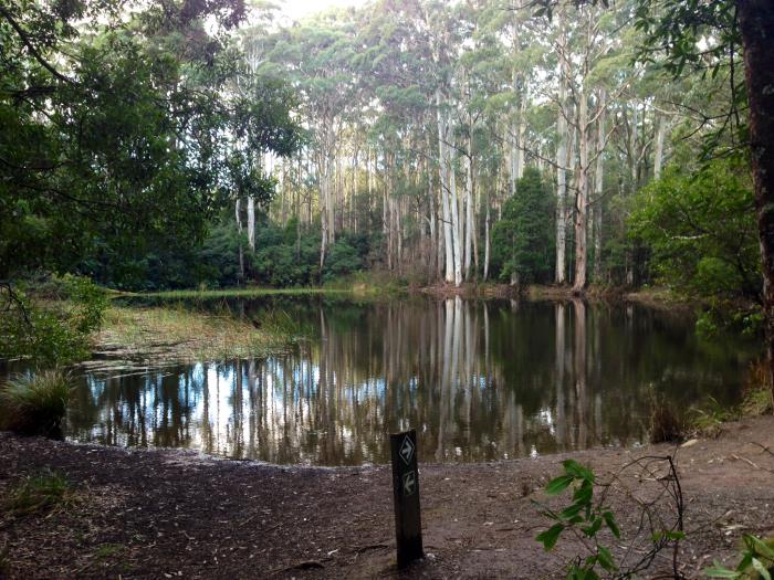 Sanitorium Lake