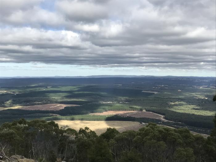 Looking out into Victoria's West