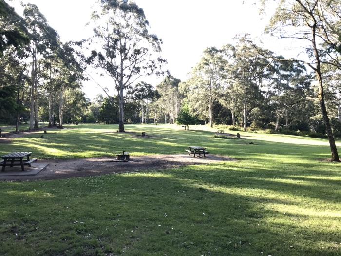 A lot of space for family picnics at Days Picnic Ground