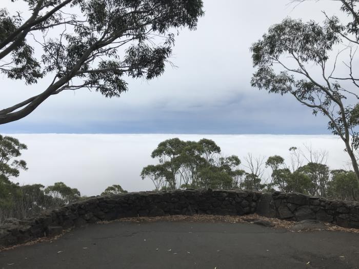 The view from the lookout when Mount Macedon is higher than the clouds