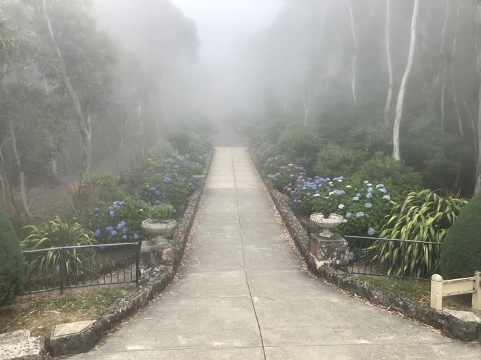 Cross gardens in the fog... 
